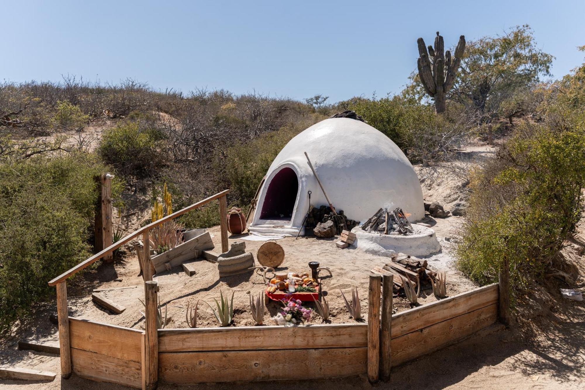 Nest Baja 호텔 San José del Cabo 외부 사진